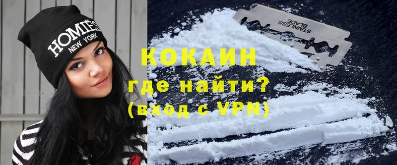 где найти   блэк спрут ТОР  Cocaine FishScale  Камышин 