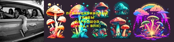 PSILOCYBIN Бородино